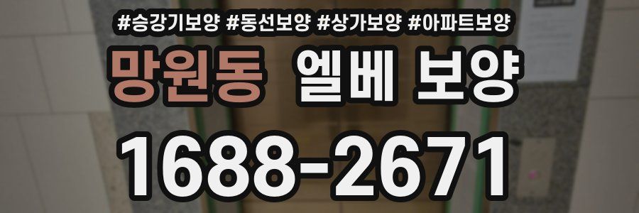 망원동 엘베 보양