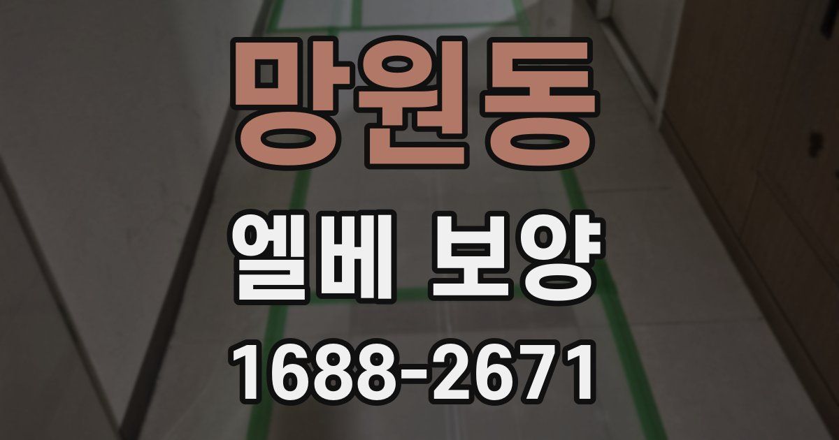 망원동 엘베 보양