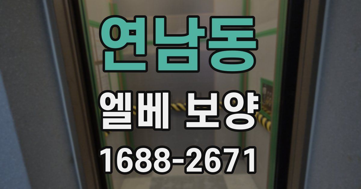 연남동 엘베 보양
