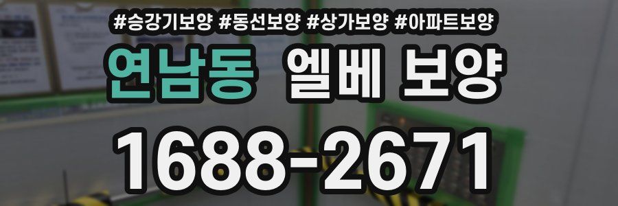 연남동 엘베 보양