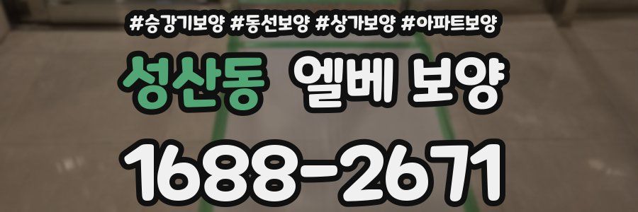 성산동 엘베 보양