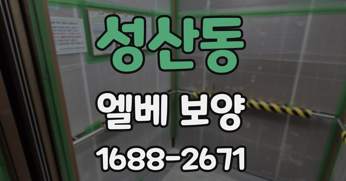 성산동 엘베 보양
