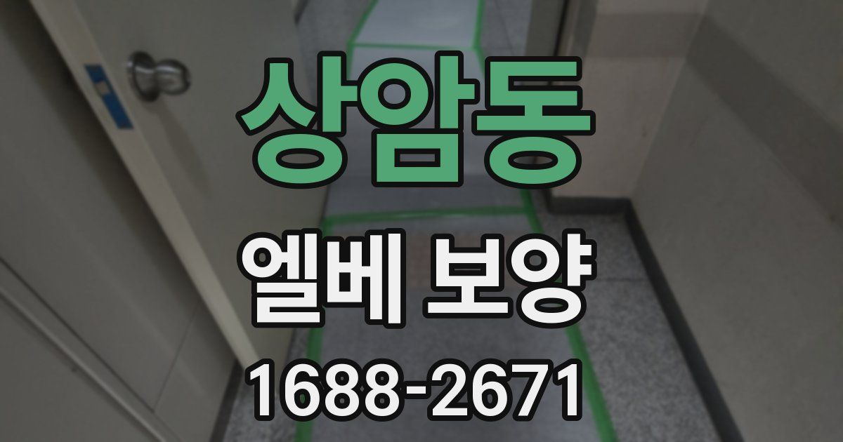 상암동 엘베 보양