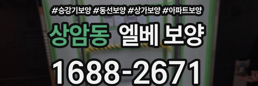 상암동 엘베 보양