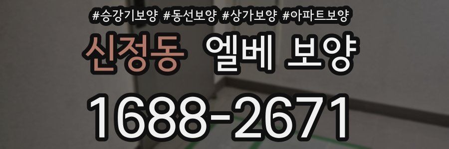 신정동 엘베 보양
