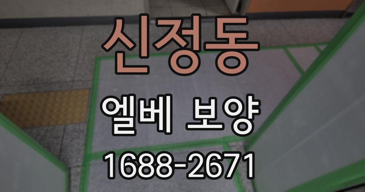 신정동 엘베 보양