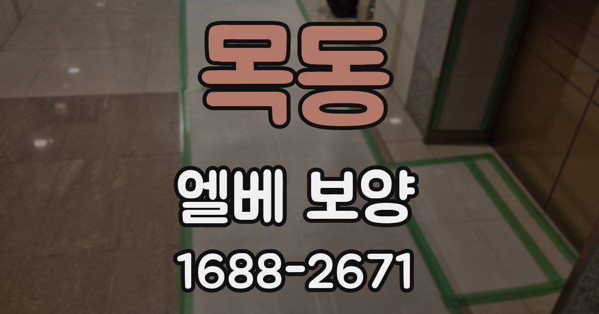 목동 엘베 보양