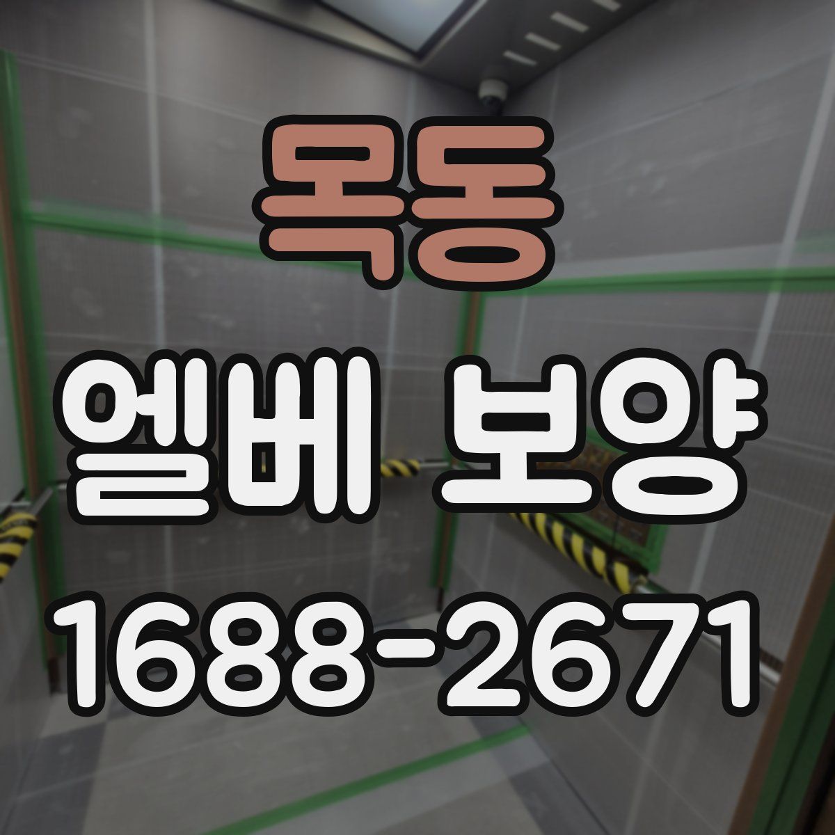 목동 엘베 보양
