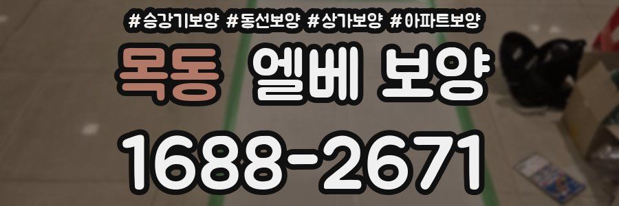 목동 엘베 보양