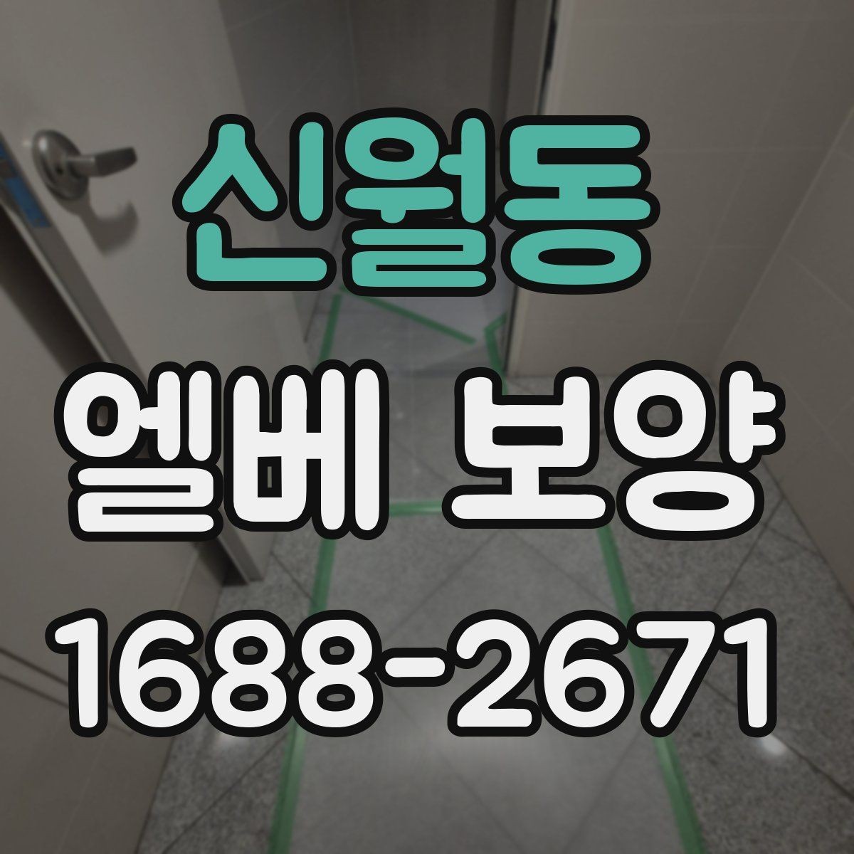 신월동 엘베 보양 벽면 손상까지 고려한 시공 순서