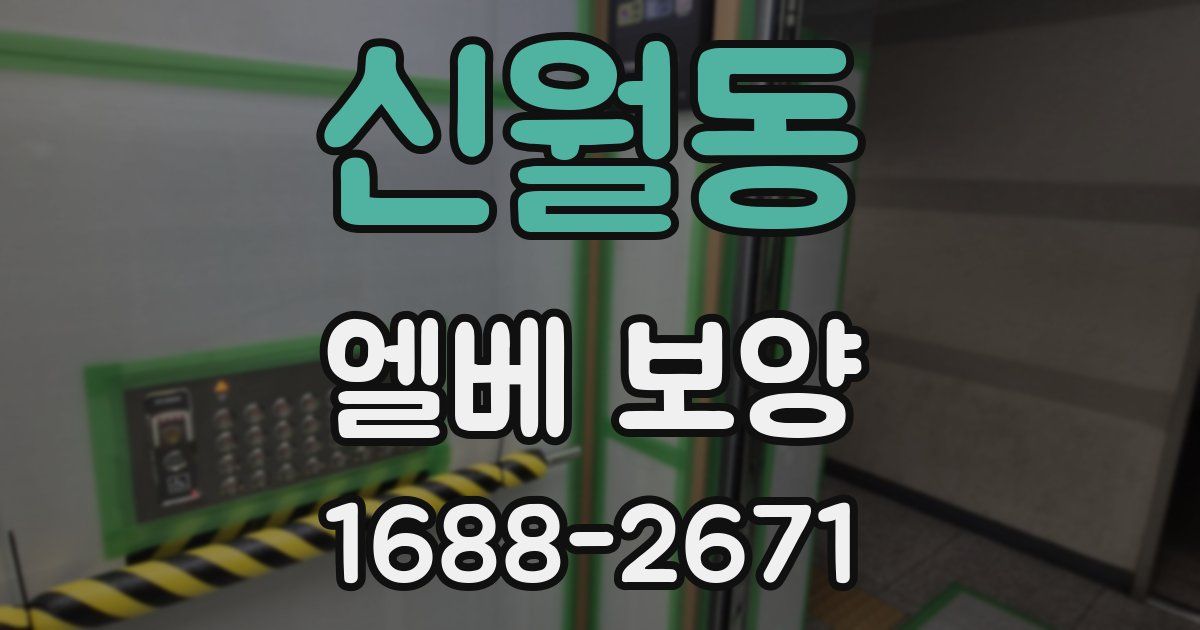 신월동 엘베 보양