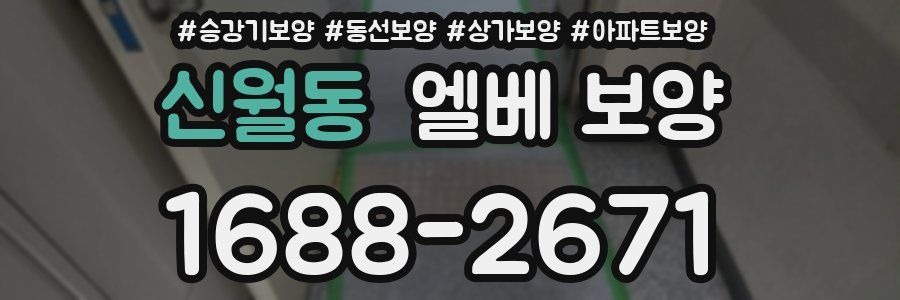 신월동 엘베 보양