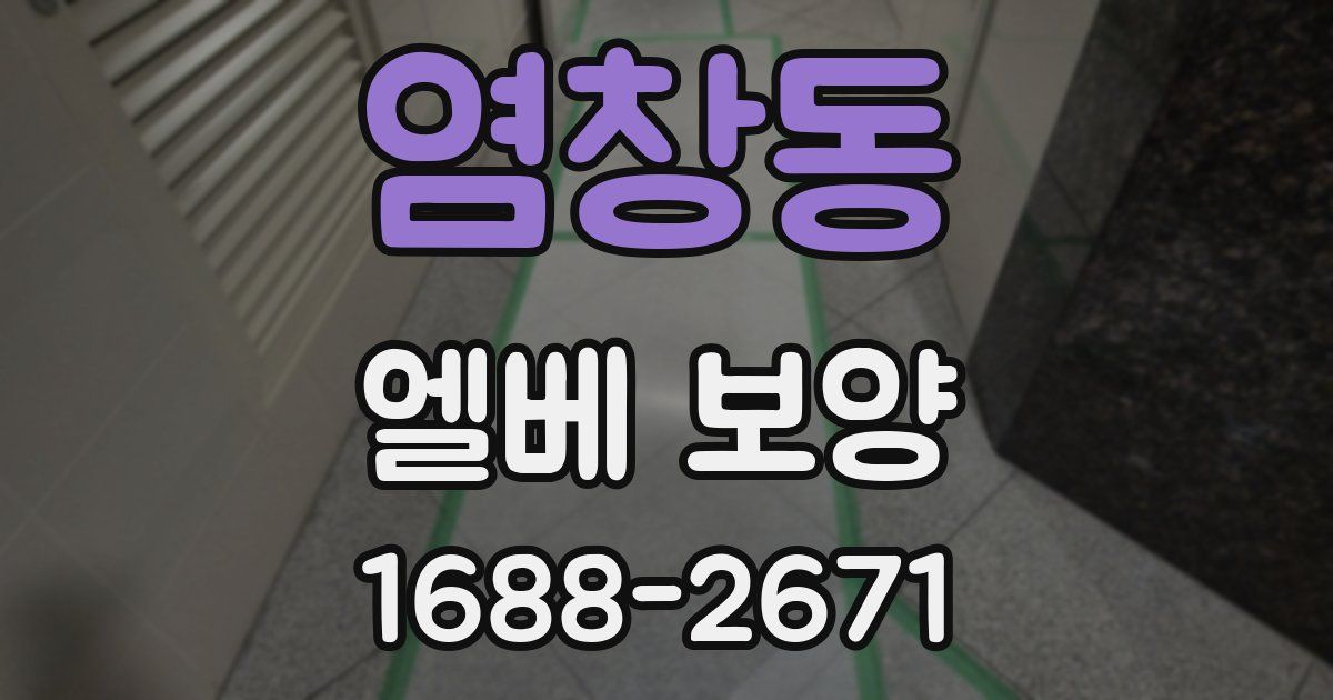 염창동 엘베 보양