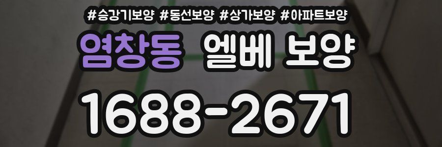 염창동 엘베 보양