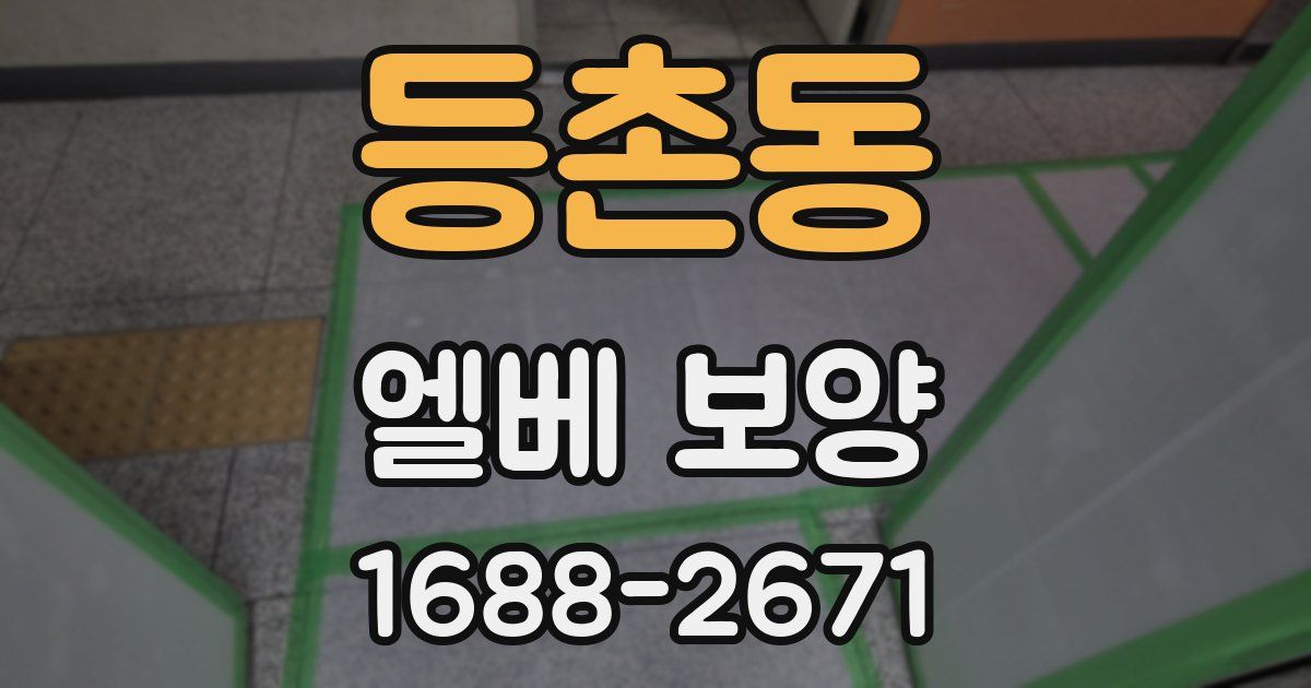 등촌동 엘베 보양