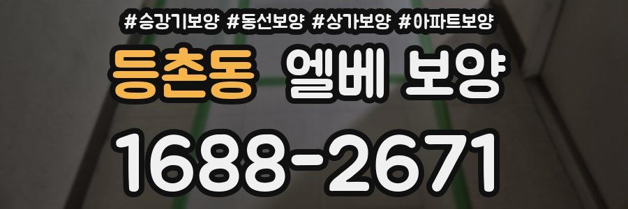 등촌동 엘베 보양