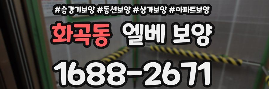화곡동 엘베 보양