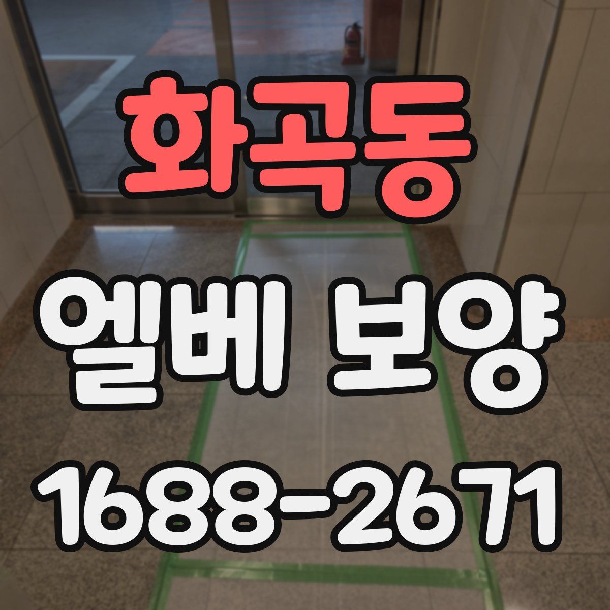 화곡동 엘베 보양