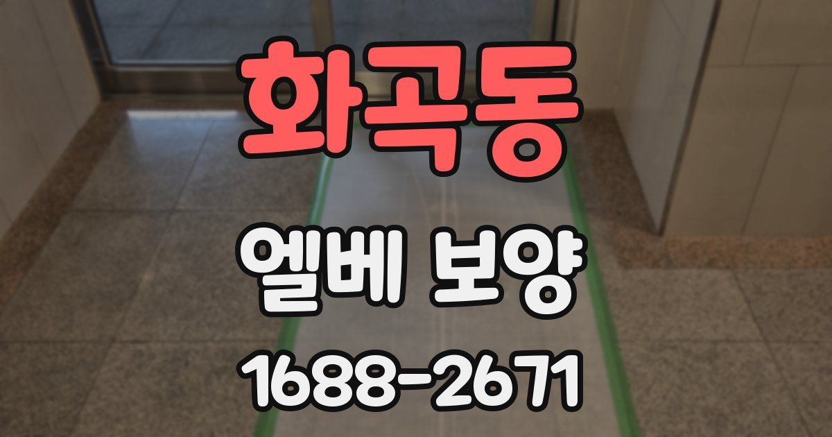 화곡동 엘베 보양