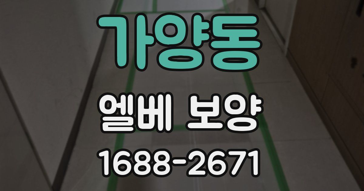 가양동 엘베 보양