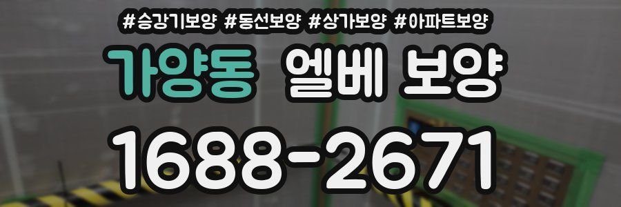 가양동 엘베 보양