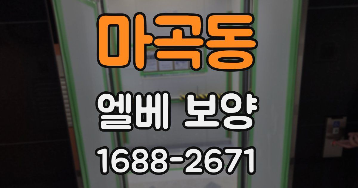 마곡동 엘베 보양