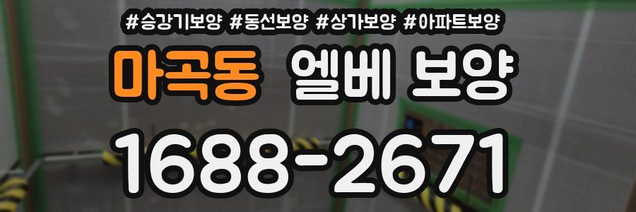 마곡동 엘베 보양