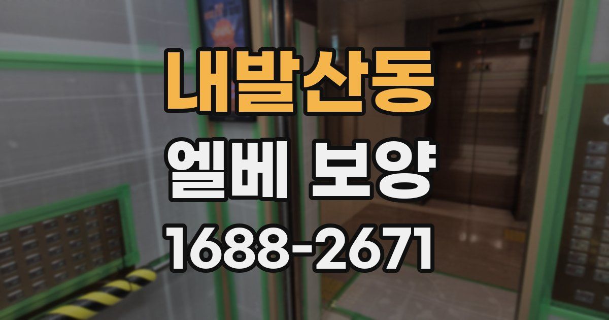 내발산동 엘베 보양