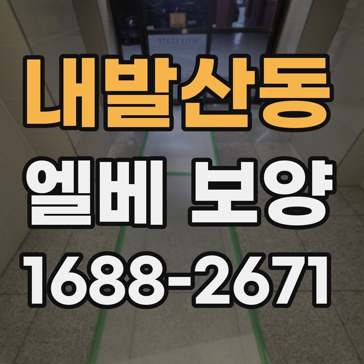 내발산동 엘베 보양
