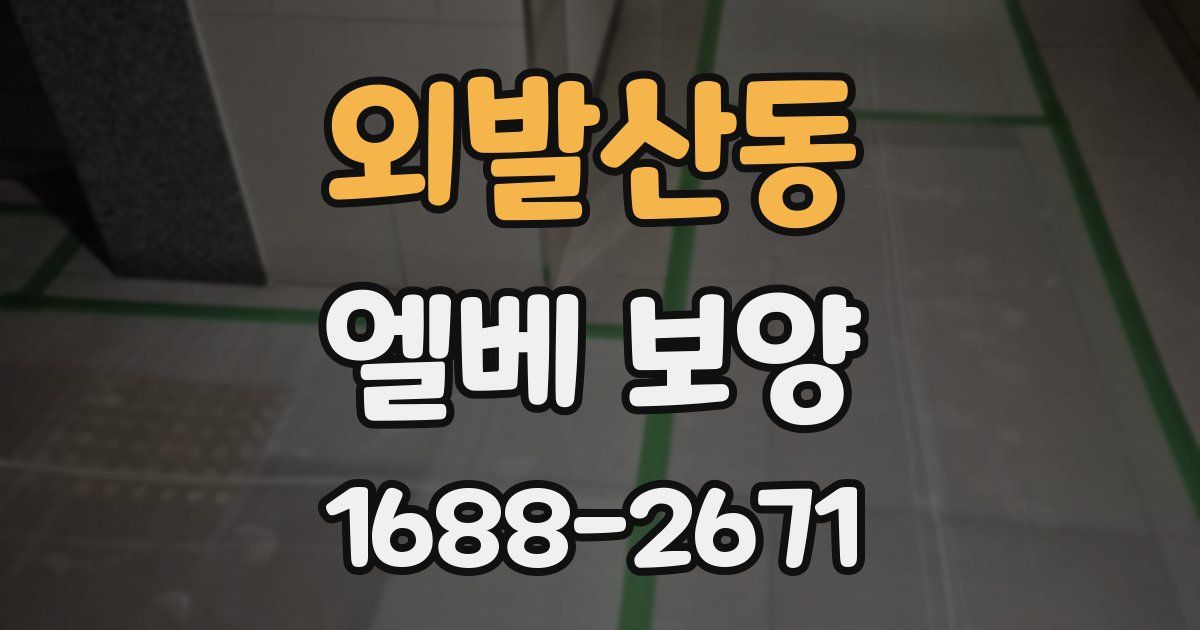 외발산동 엘베 보양