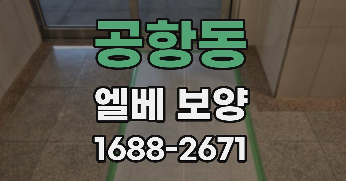 공항동 엘베 보양