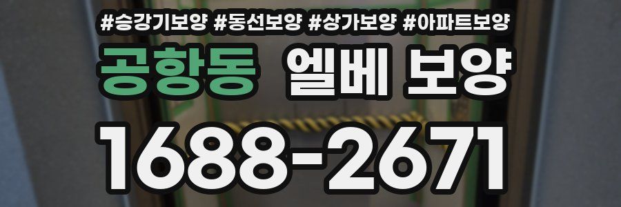 공항동 엘베 보양