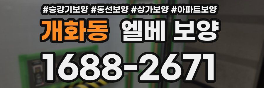 개화동 엘베 보양