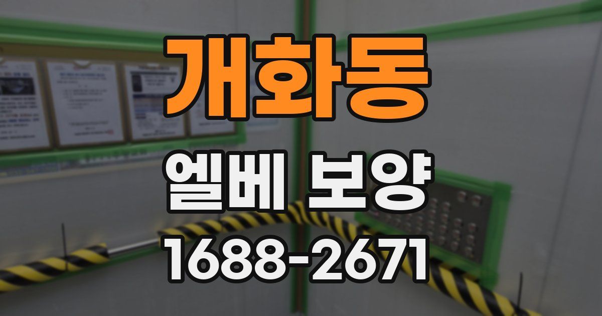개화동 엘베 보양