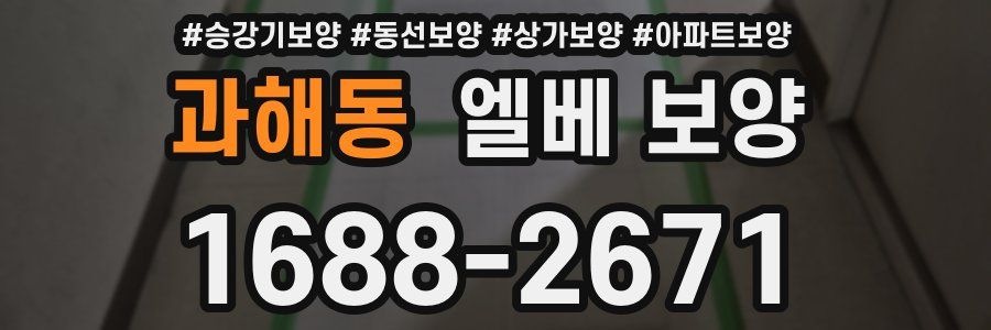 과해동 엘베 보양