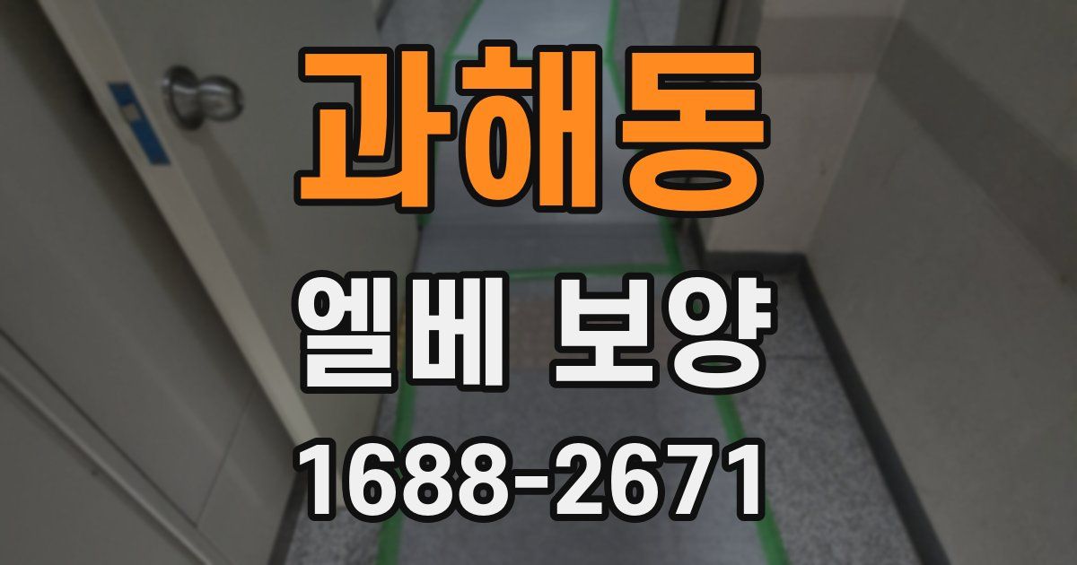 과해동 엘베 보양