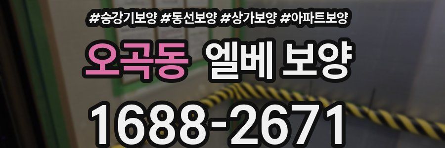 오곡동 엘베 보양