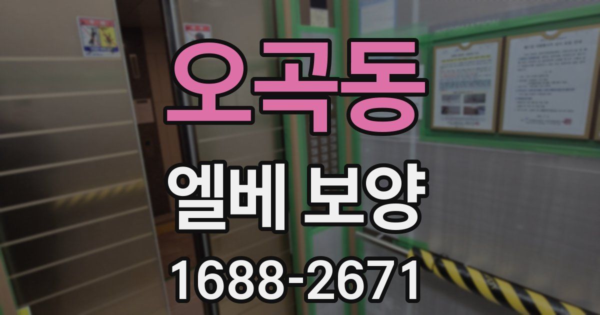 오곡동 엘베 보양