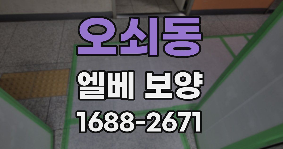 오쇠동 엘베 보양