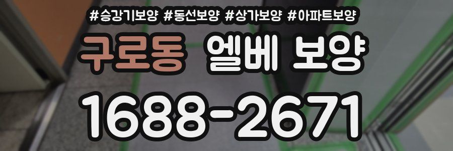 구로동 엘베 보양