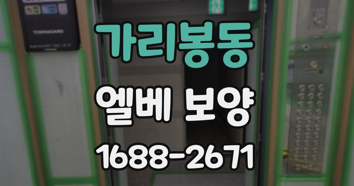 가리봉동 엘베 보양
