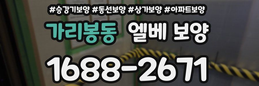 가리봉동 엘베 보양