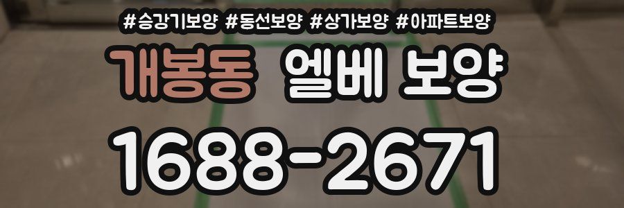 개봉동 엘베 보양