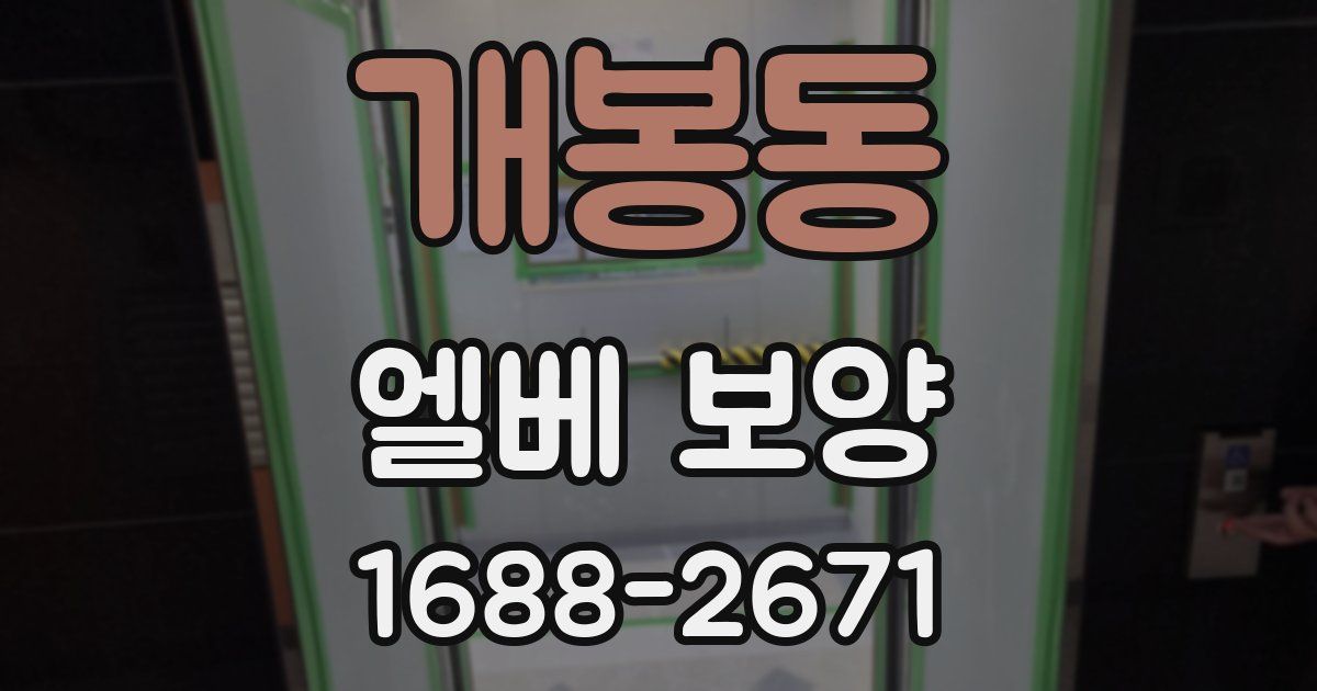 개봉동 엘베 보양