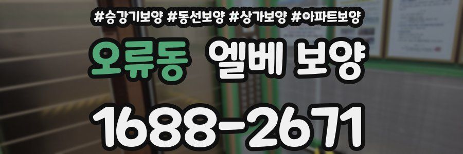 오류동 엘베 보양