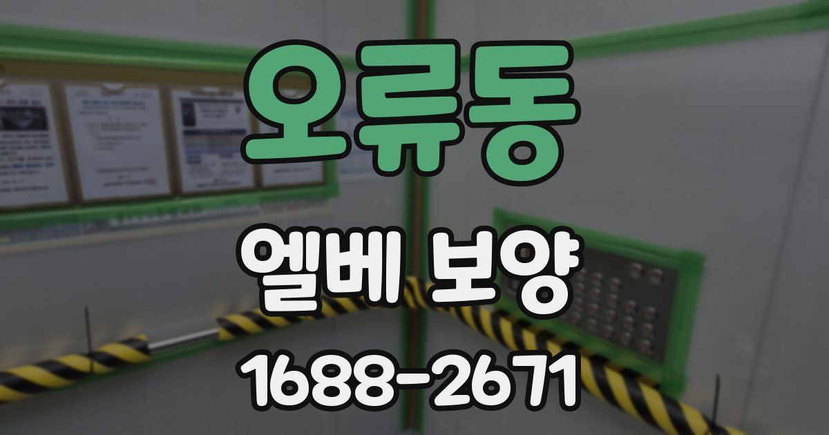오류동 엘베 보양