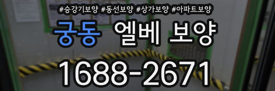 궁동 엘베 보양