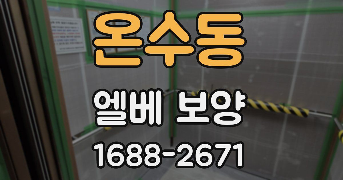 온수동 엘베 보양