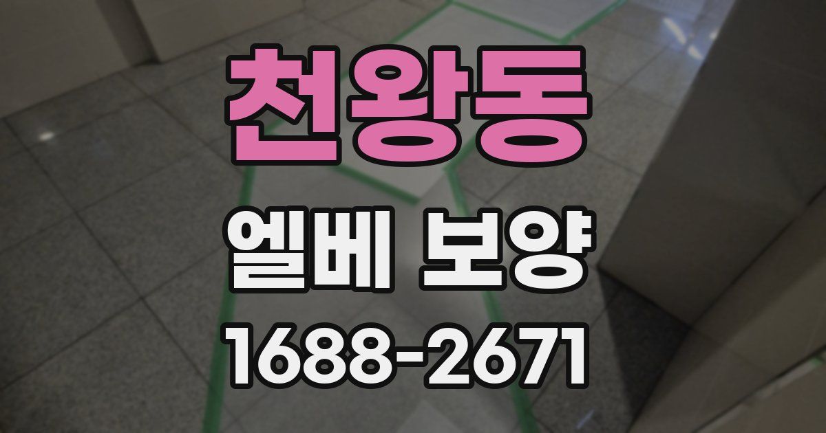 천왕동 엘베 보양