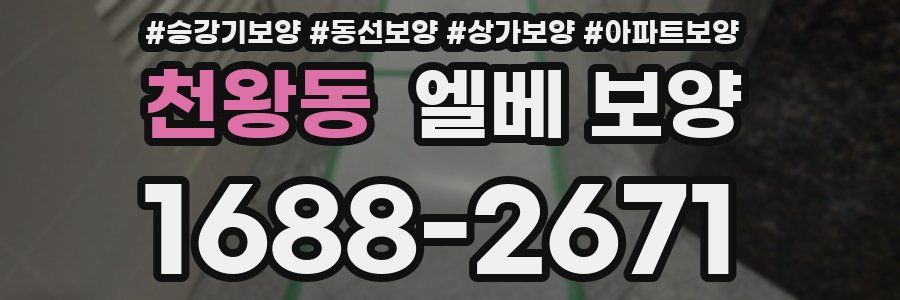 천왕동 엘베 보양
